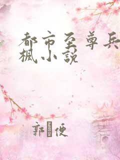 都市至尊兵王楚枫小说