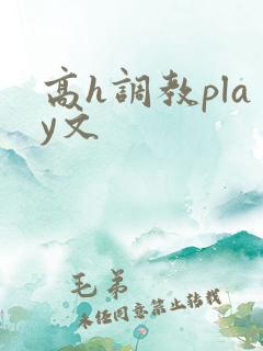 高h调教play文