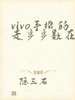 vivo手机的走步步数在哪里看