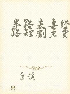 半路夫妻终成陌路短剧免费观看