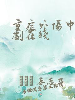 重症外伤中心韩剧在线