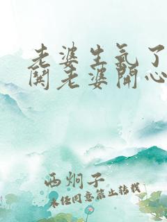 老婆生气了怎么哄老婆开心的情话