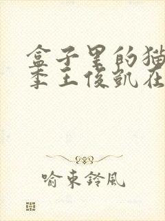 盒子里的猫第二季王俊凯在第几期