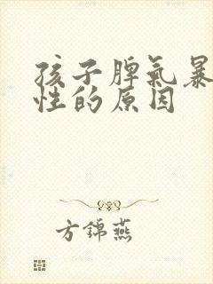 孩子脾气暴躁任性的原因