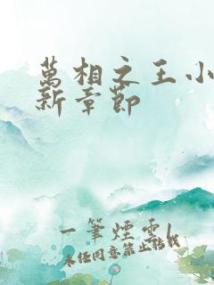 万相之王小说最新章节