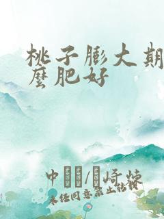 桃子膨大期上什么肥好