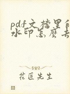pdf文档里的水印怎么去除