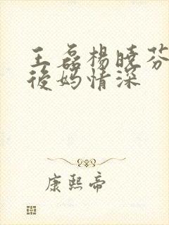 王磊杨晓芬小说后妈情深