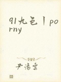 91九色丨porny