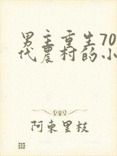 男主重生70年代农村的小说