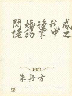 闪婚后我成了大佬的掌中之物未删减版