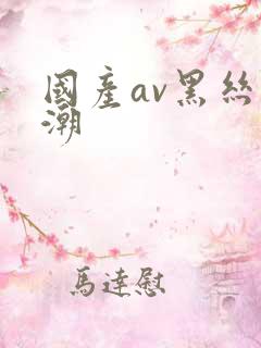 国产av黑丝高潮
