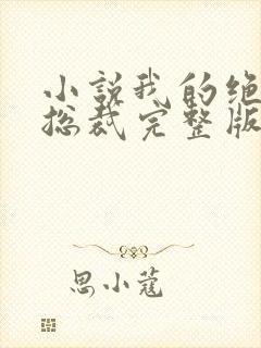 小说我的绝色女总裁完整版