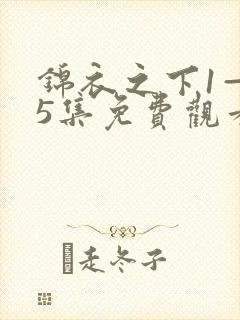 锦衣之下1—55集免费观看