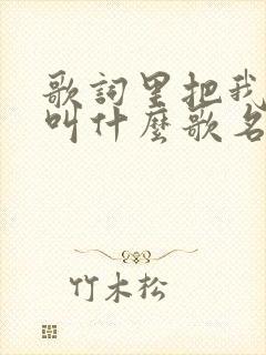 歌词里把我灌醉叫什么歌名
