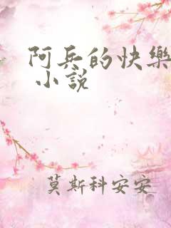 阿兵的快乐生活 小说