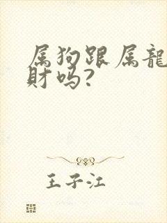属狗跟属龙的合财吗?
