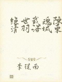 绝世武魂陈枫燕清羽洛城东