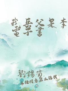 我岳父是李世民电子书
