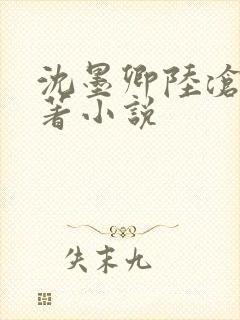 沈墨卿陆沧鸣原著小说