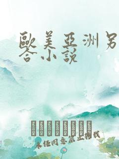 欧美亚洲另类综合小说