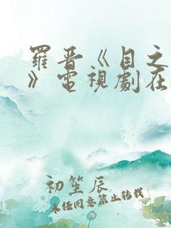 罗晋《目之所及》电视剧在哪个台播出