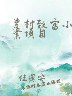 农村致富小本创业项目