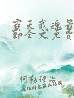 霸天武魂最新章节全文免费阅读无弹窗