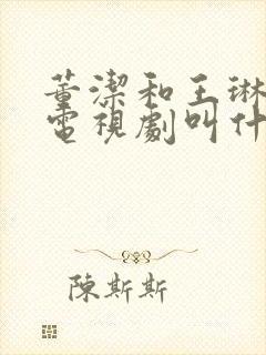 董洁和王琳演的电视剧叫什么名字