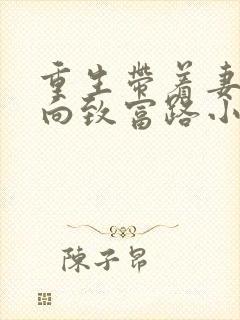 重生带着妻儿走向致富路小说