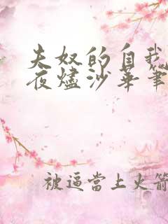 夫奴的自我修养夜烬沙华笔趣阁