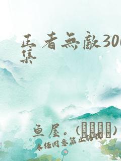 正者无敌300集
