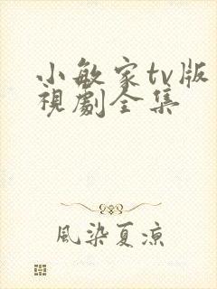 小敏家tv版电视剧全集