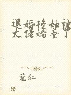 退婚后她被财阀大佬娇养了
