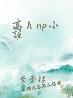 高 h np小说