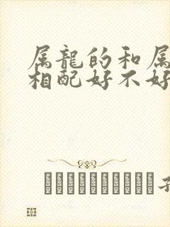 属龙的和属兔的相配好不好