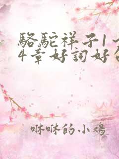 骆驼祥子1～24章好词好句
