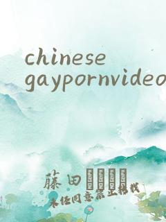 chinesegaypornvideo