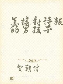 怎样对待叛逆期的男孩子