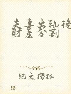 夫妻出轨后离婚财产分割