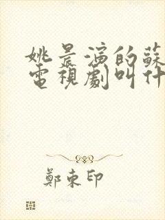 姚晨演的苏明玉电视剧叫什么名字