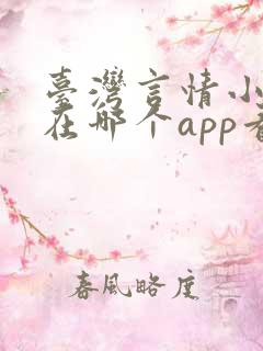 台湾言情小说要在哪个app看