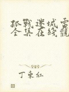 孤战迷城电视剧全集在线观看