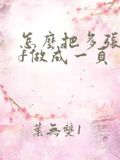 怎么把多张pdf做成一页