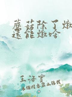 蘑菇除了炖小鸡还能炖啥