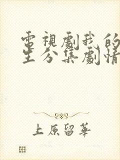 电视剧我的后半生分集剧情介绍