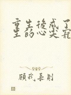 重生后成了陆先生的心尖宠