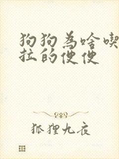 狗狗为啥吃自己拉的便便