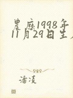农历1998年11月29日生辰八字