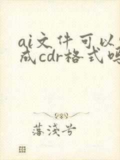 ai文件可以转成cdr格式吗